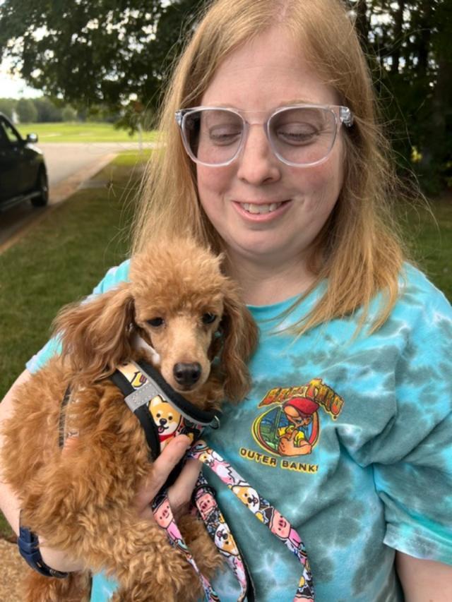 Enlarge Hazel, a Adoptable Miniature Poodle in Williamsburg, VA image 4/5