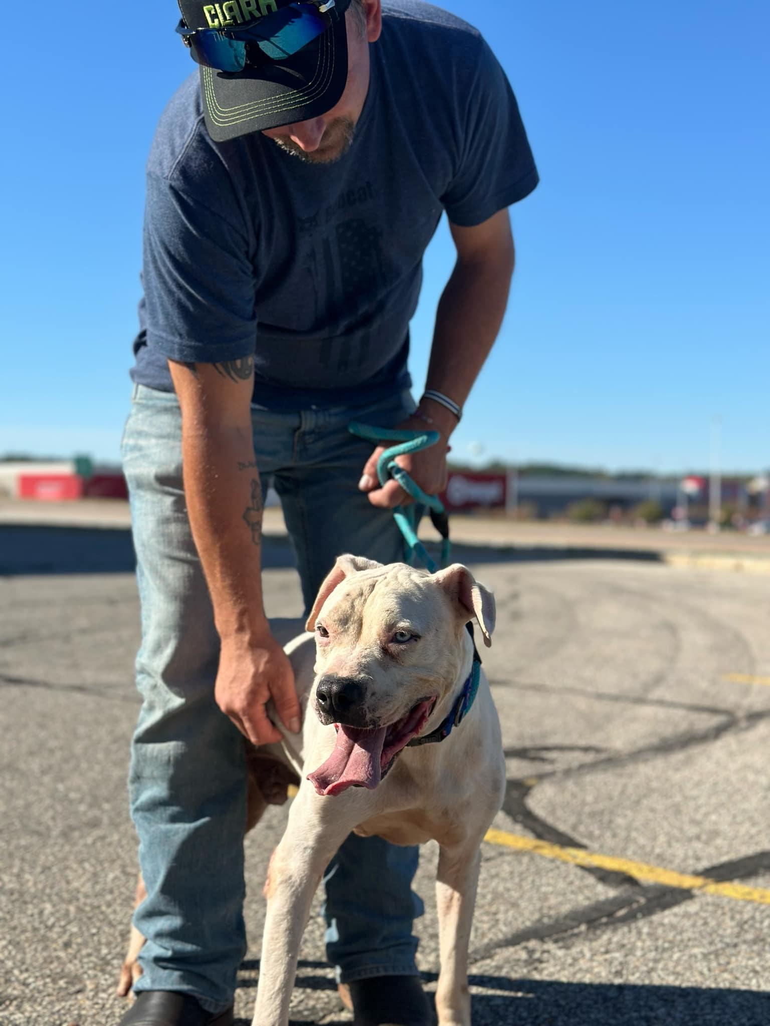 Ghost, an adoptable Pit Bull Terrier in Lakeville, MN, 55044 | Photo Image 2