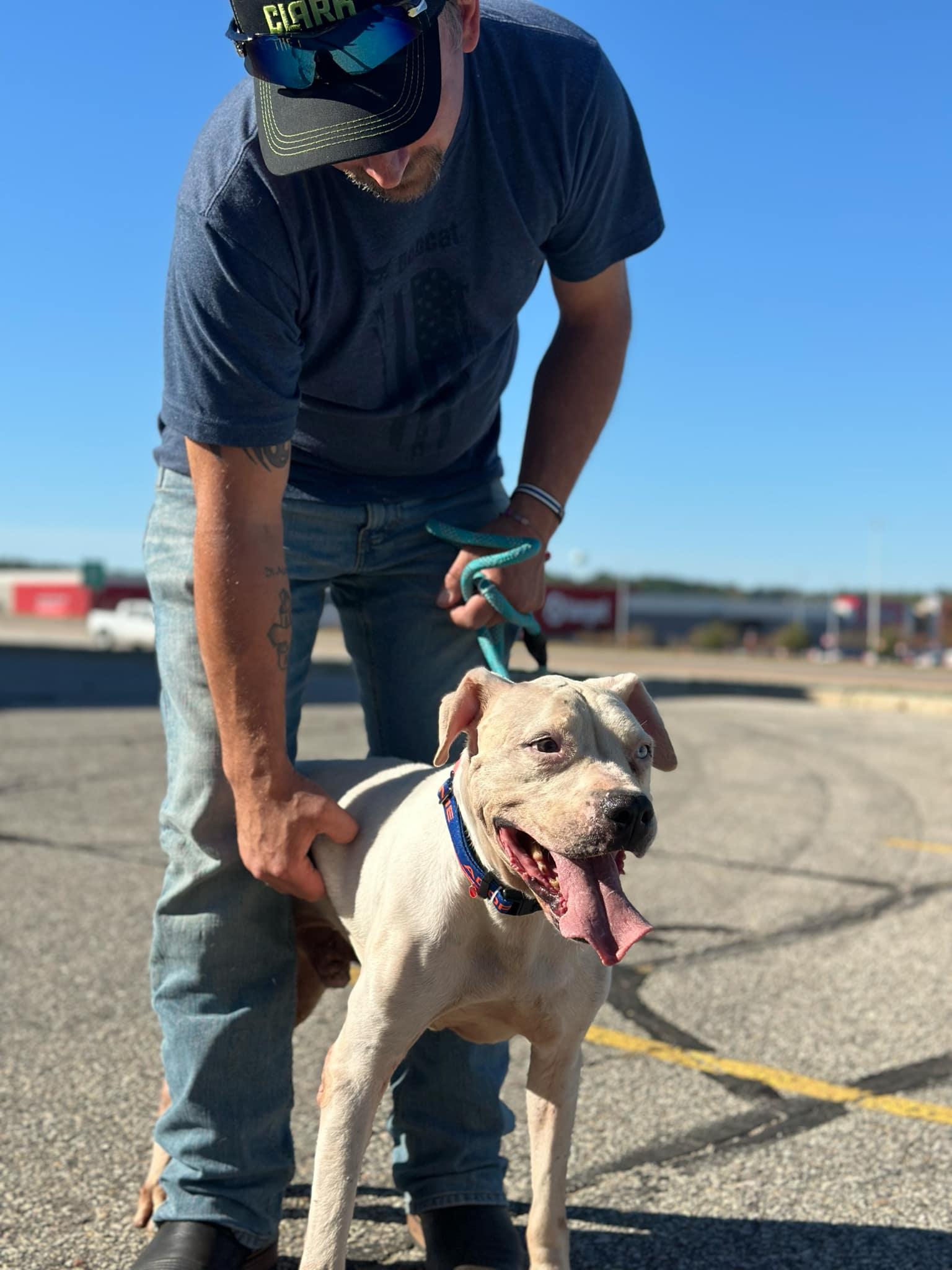 Ghost, an adoptable Pit Bull Terrier in Lakeville, MN, 55044 | Photo Image 3