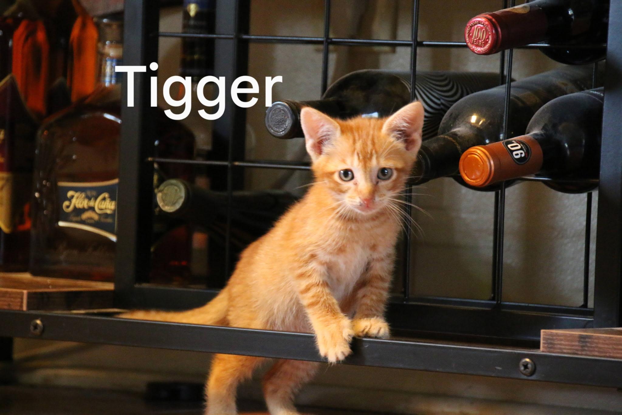 Tigger