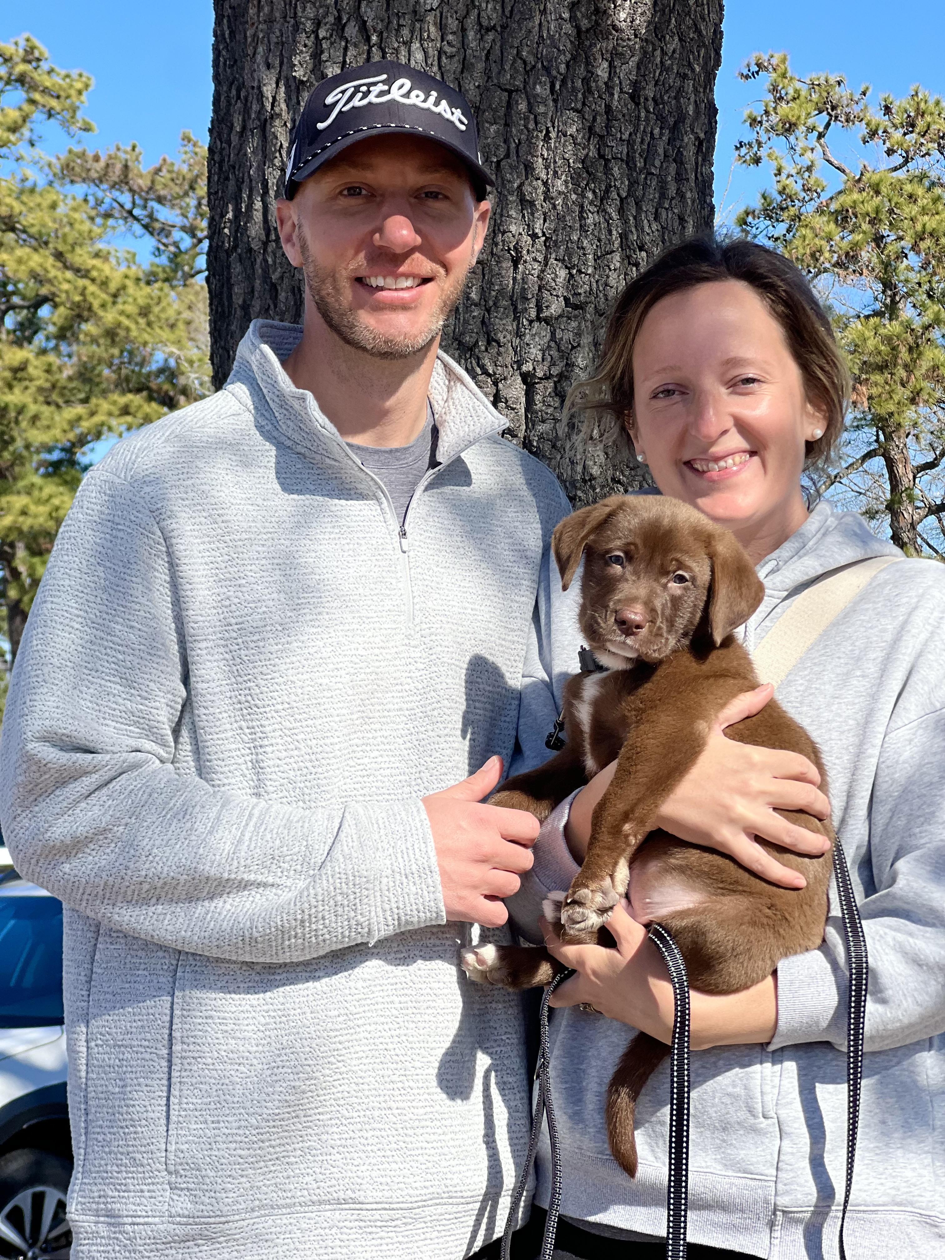 Enlarge Alvin, an adopted mixed breed in Mt Pleasant, SC image 6/6