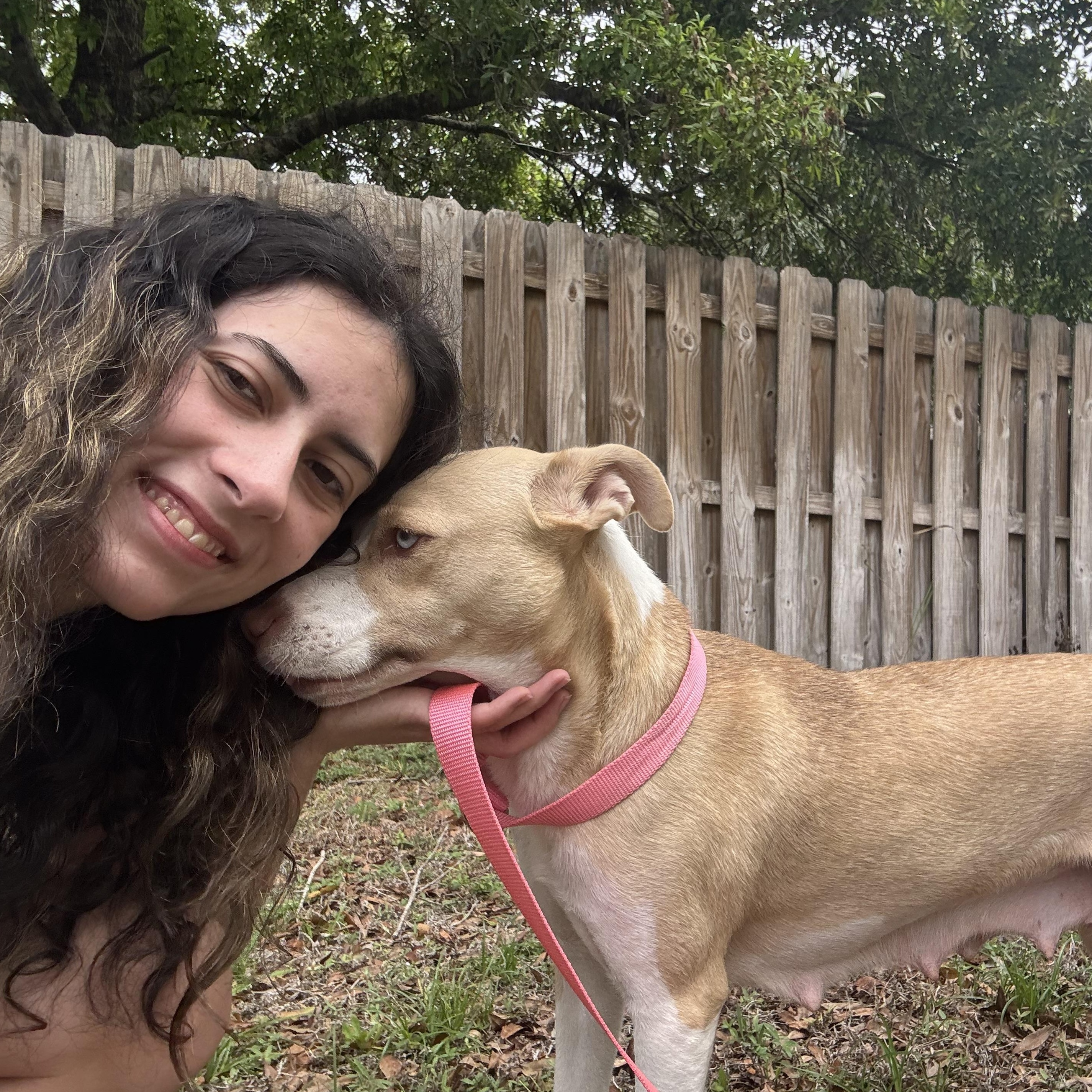 Enlarge Mamma Winnie, a ADOPTABLE mixed breed in Orlando, FL image 3/6