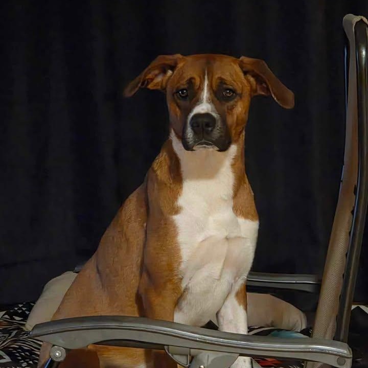 Rusty (20260210-04) — thumbnail 3