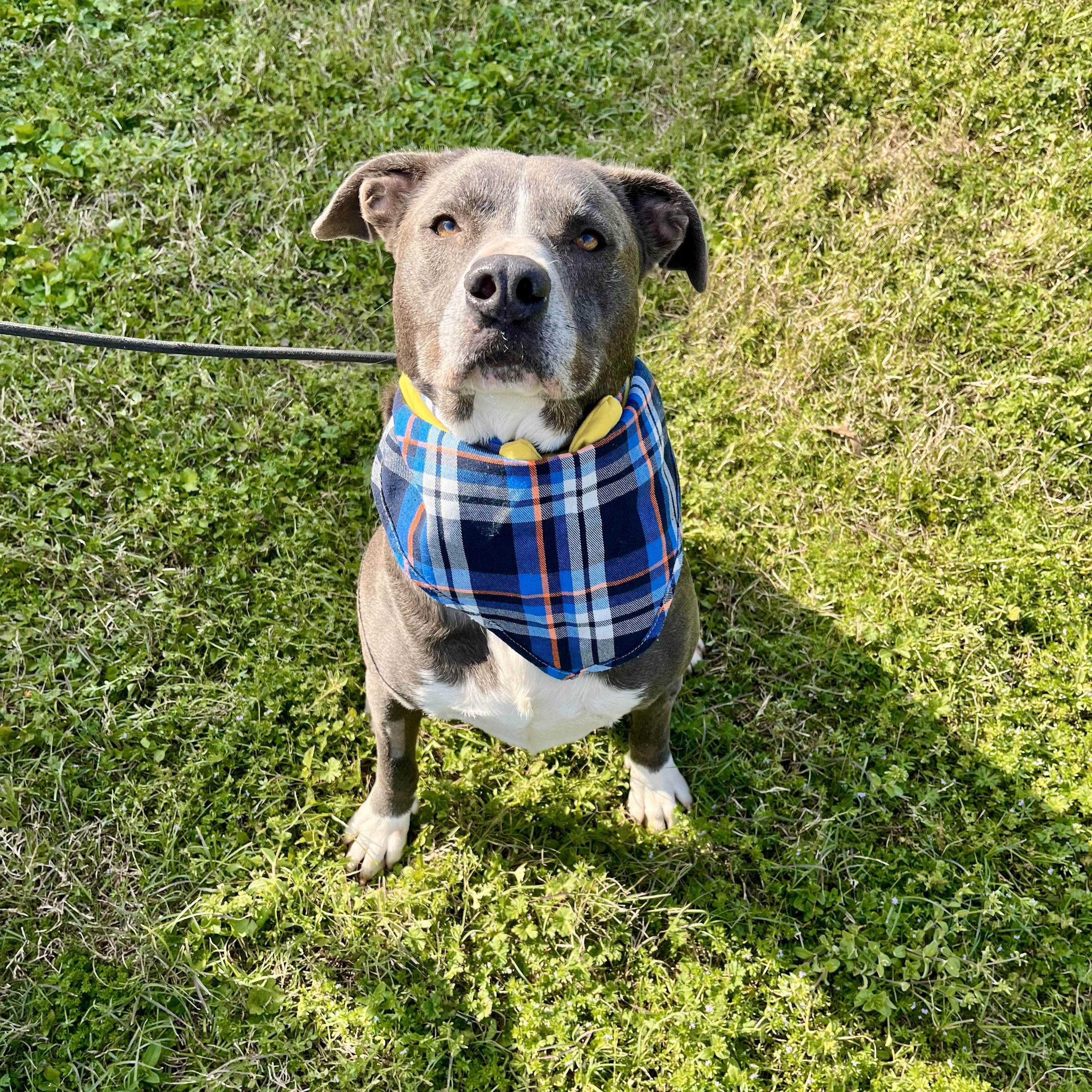 Mojito — thumbnail 2