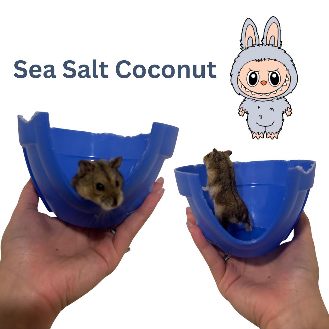 Enlarge Sea Salt Coconut, a Adoptable mixed breed in Ripon, CA image 1/1