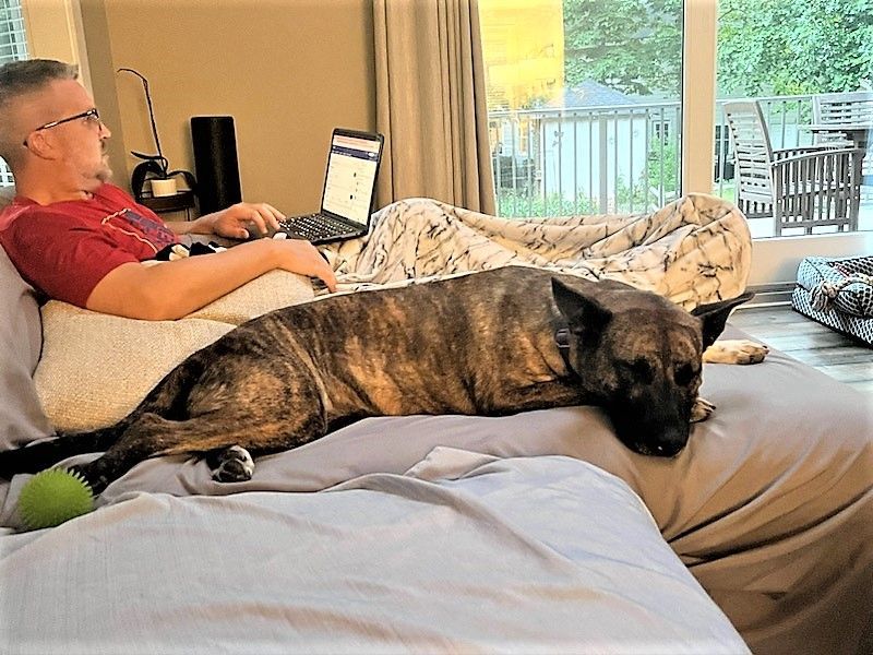 Enlarge Kona, a Adopted mixed breed in Denver, NC image 5/12