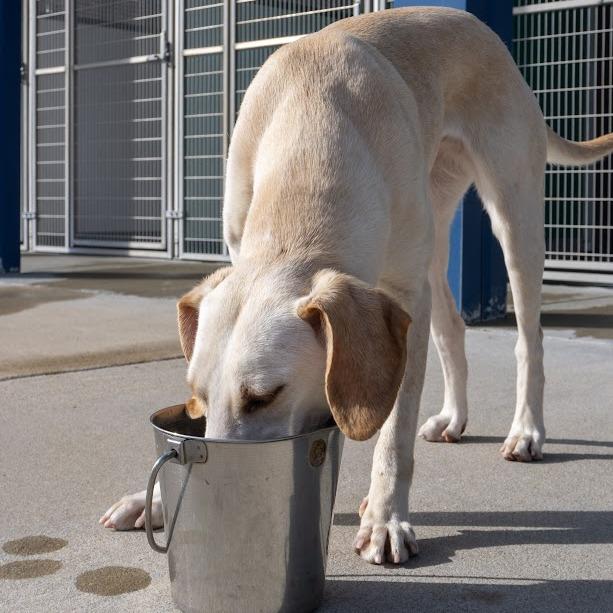 Penelope thumbnail 4