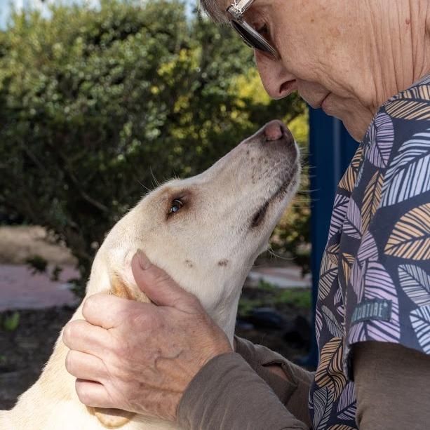 Penelope thumbnail 5