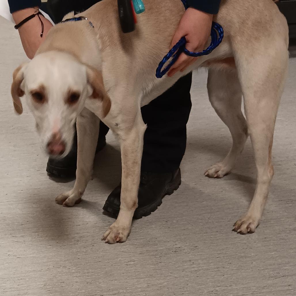 Penelope thumbnail 6