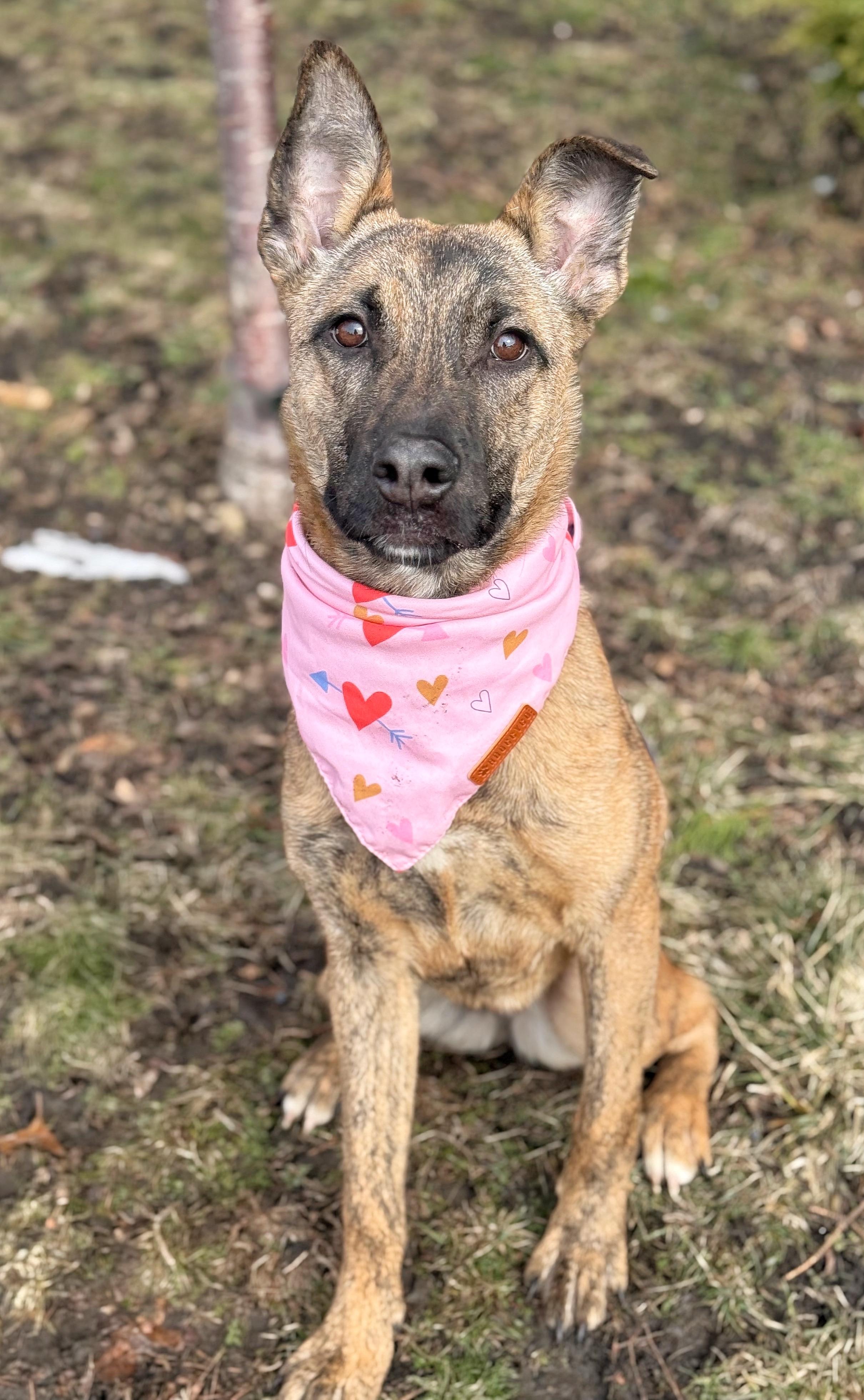 Yolanda — thumbnail 2