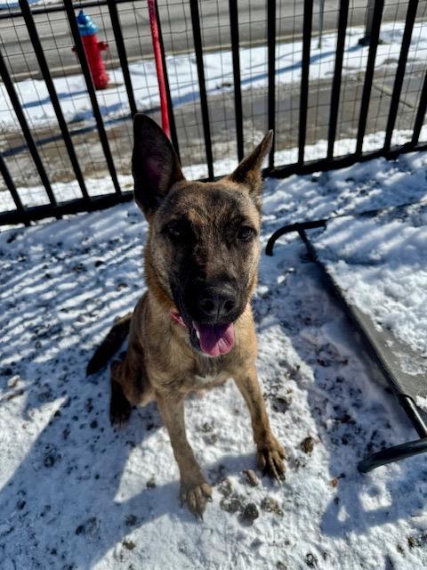 Yolanda — thumbnail 3