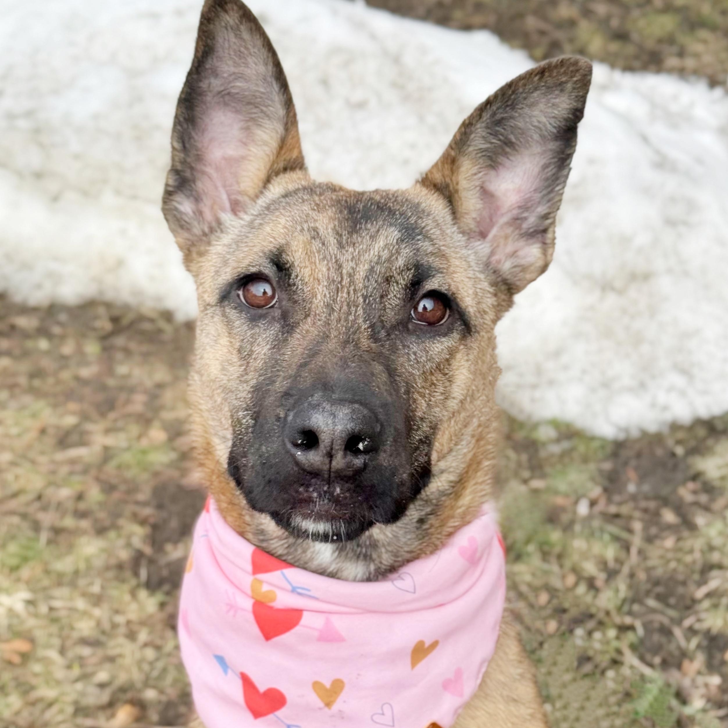 Yolanda — thumbnail 4