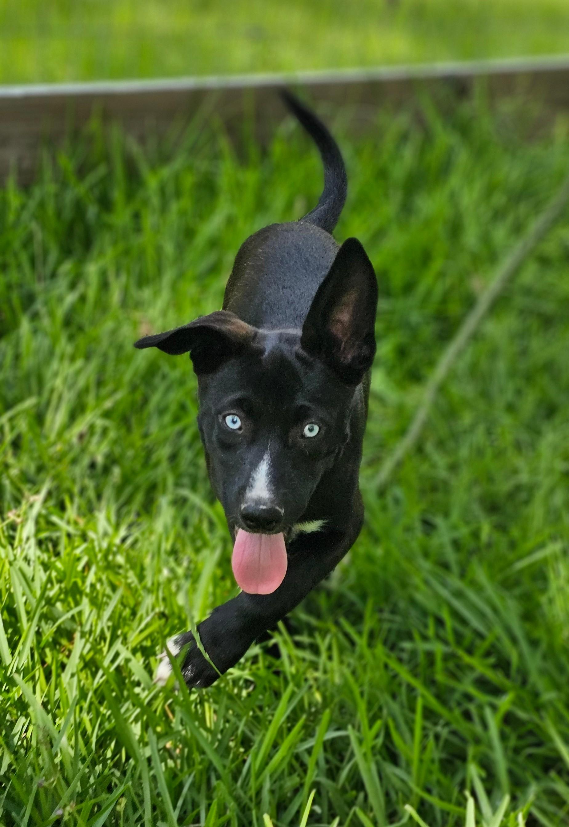 Nyla 3