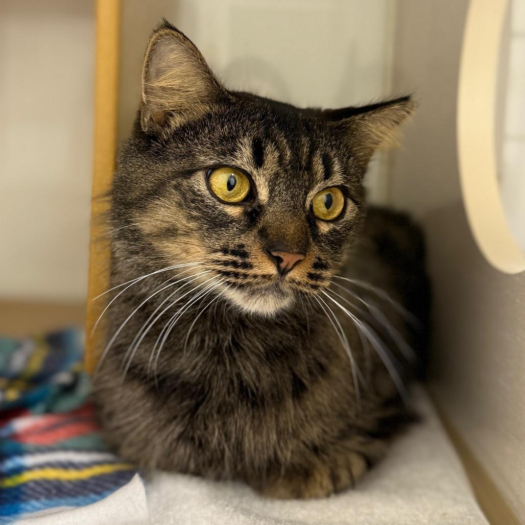 June Bug — thumbnail 2