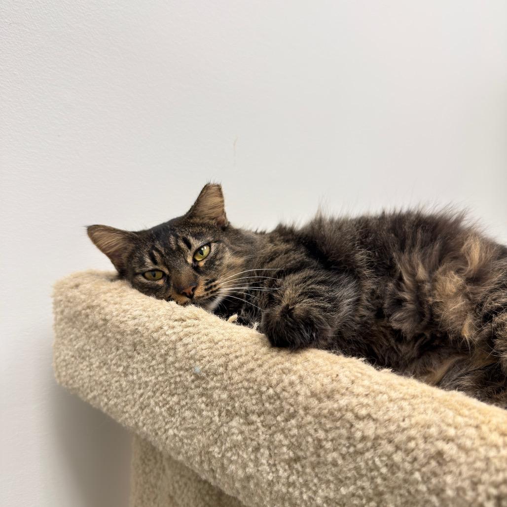 June Bug — thumbnail 3