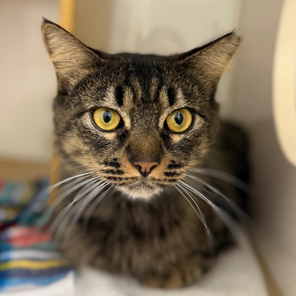 June Bug — thumbnail 5