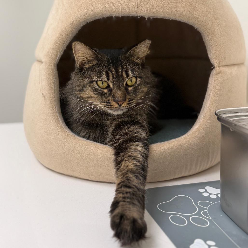 June Bug — thumbnail 6