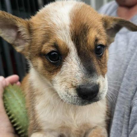 NY Tucker Avail Sep 13 (Kent Community Day)