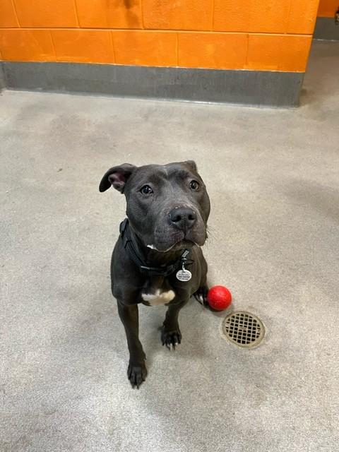 MOON — thumbnail 2