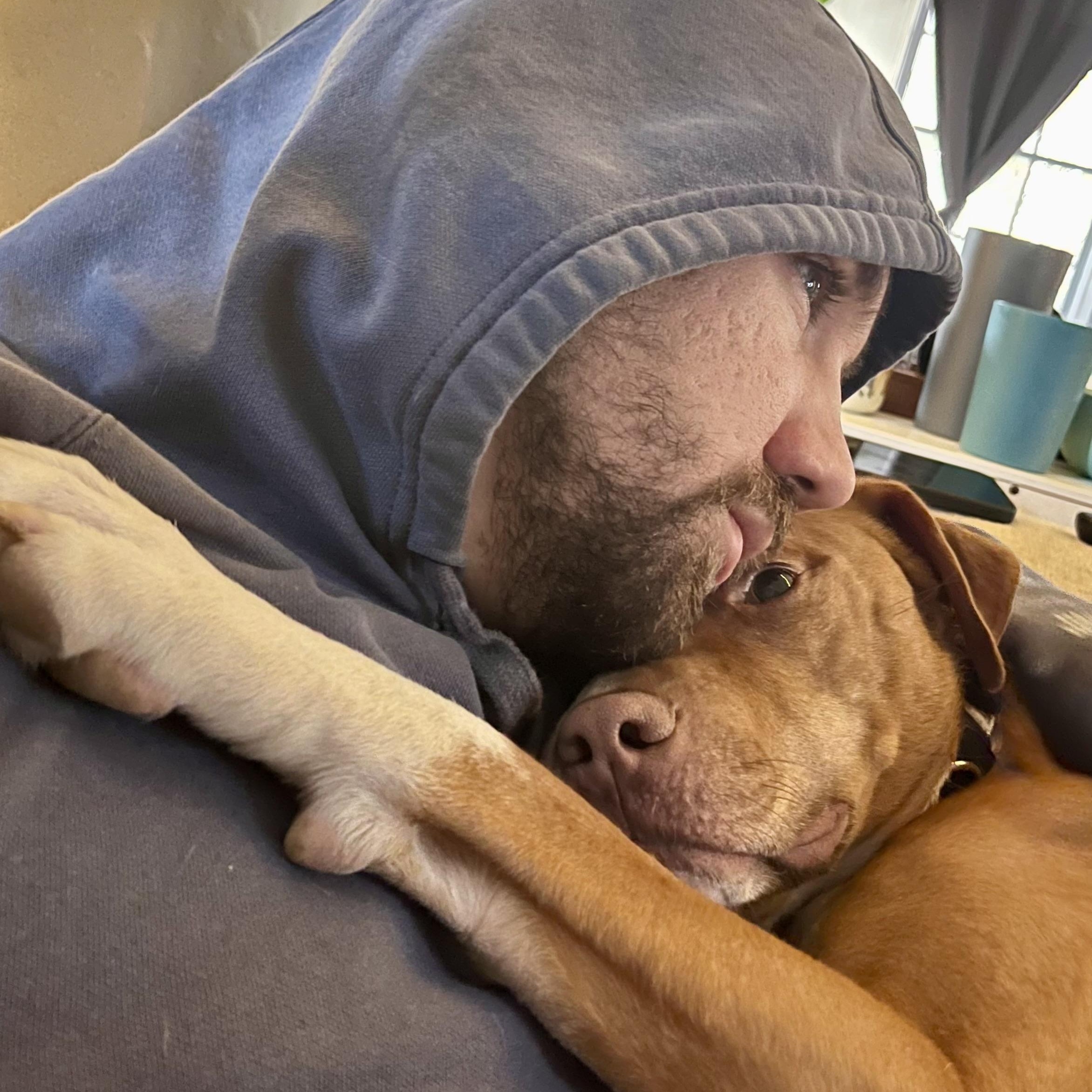 Ranger, a Adoptable mixed breed in Griswold, CT image 2/6