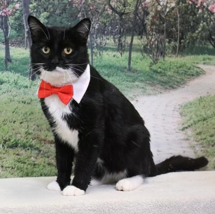 Megumi — thumbnail 2