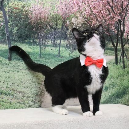 Megumi — thumbnail 3