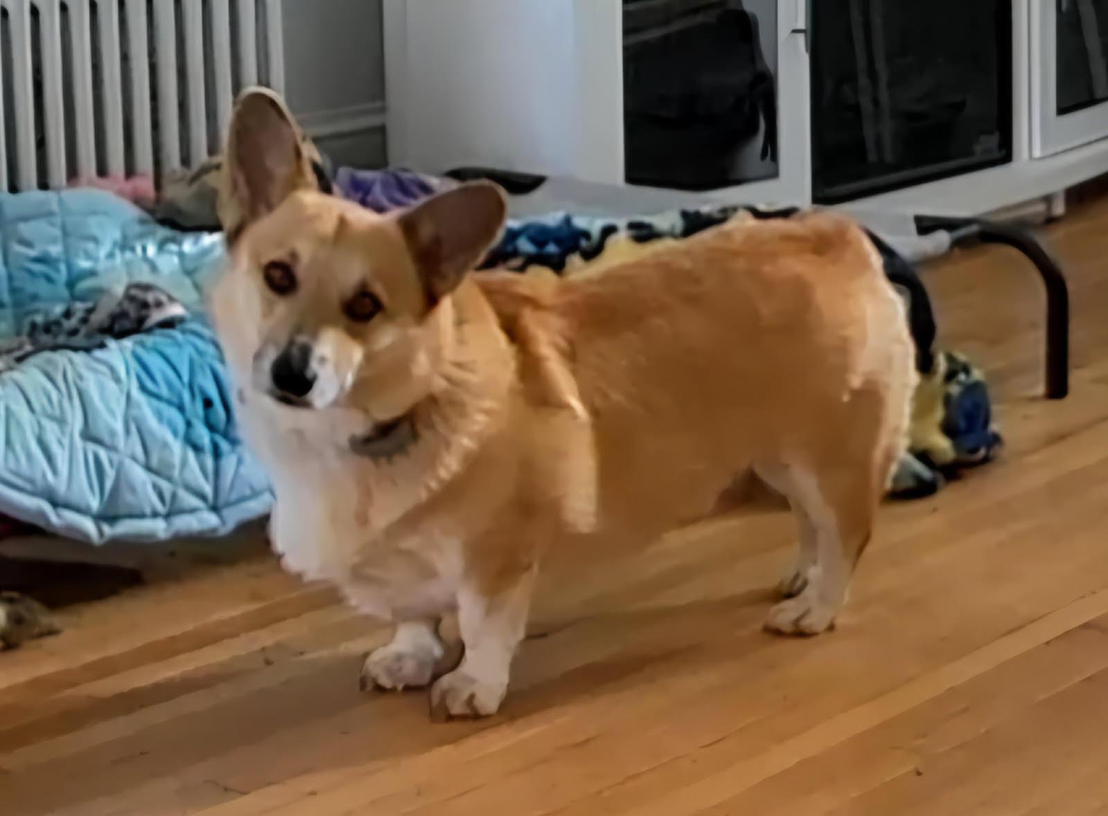 Murphy