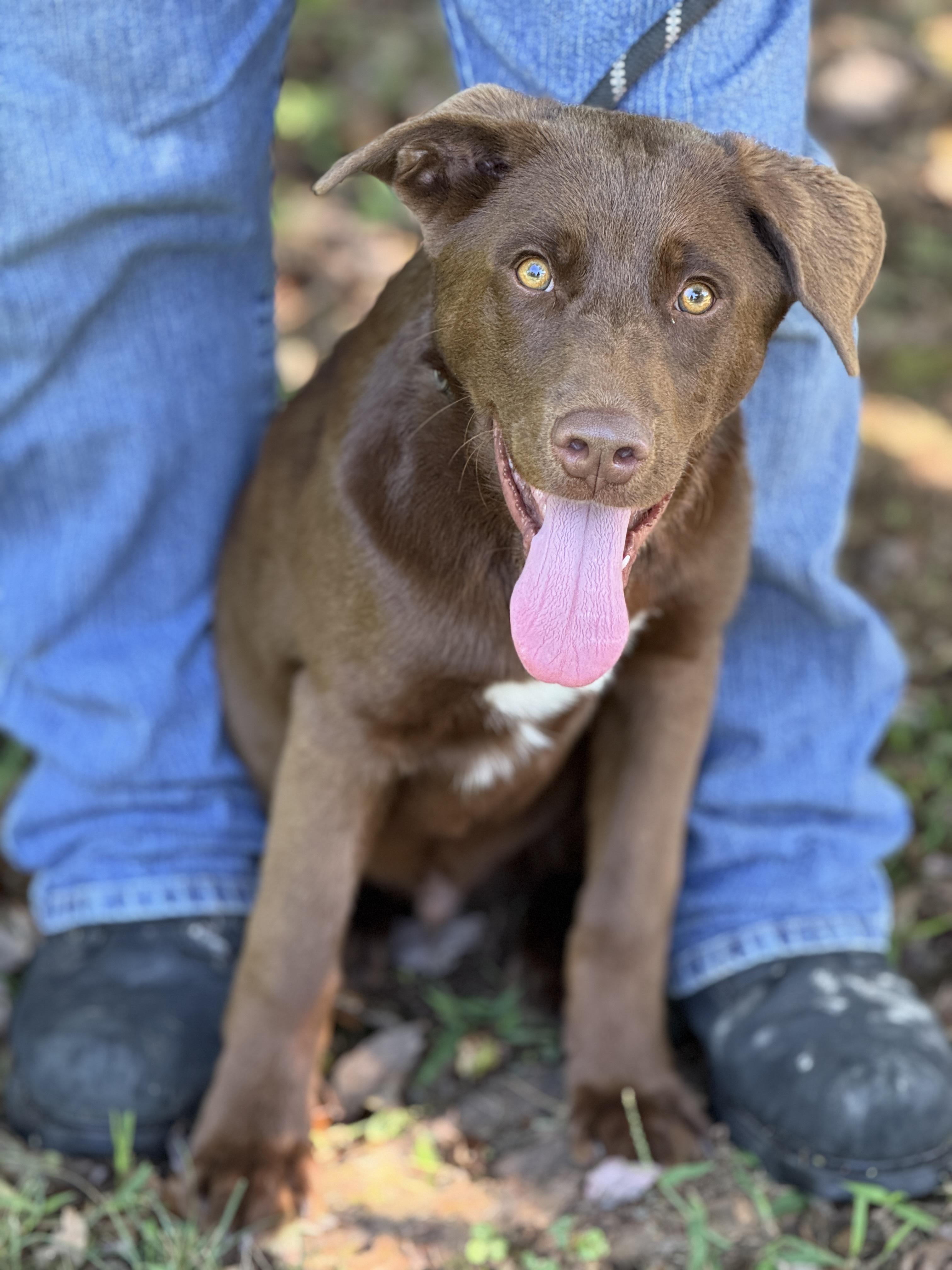 Ripley