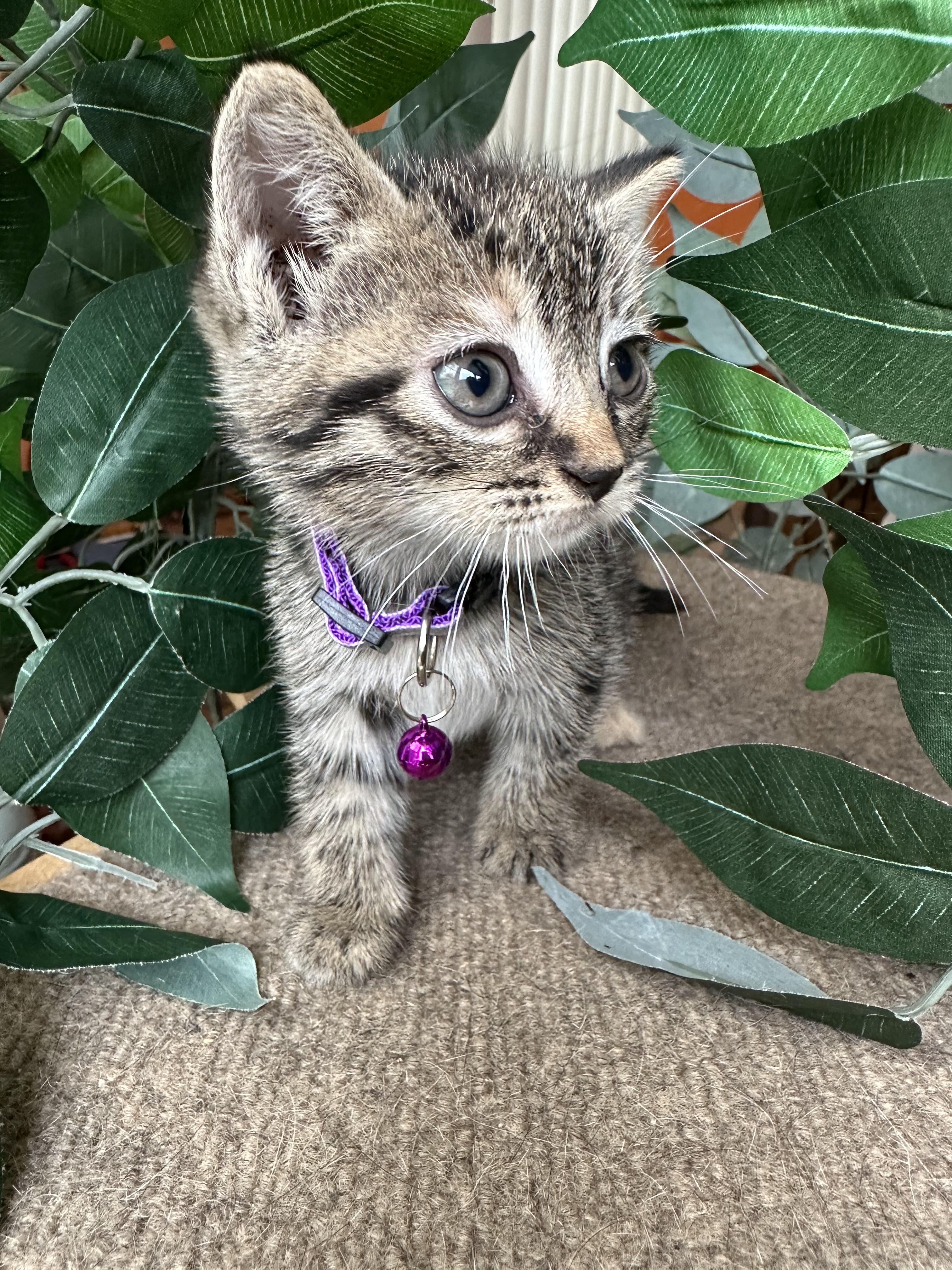 Ellie