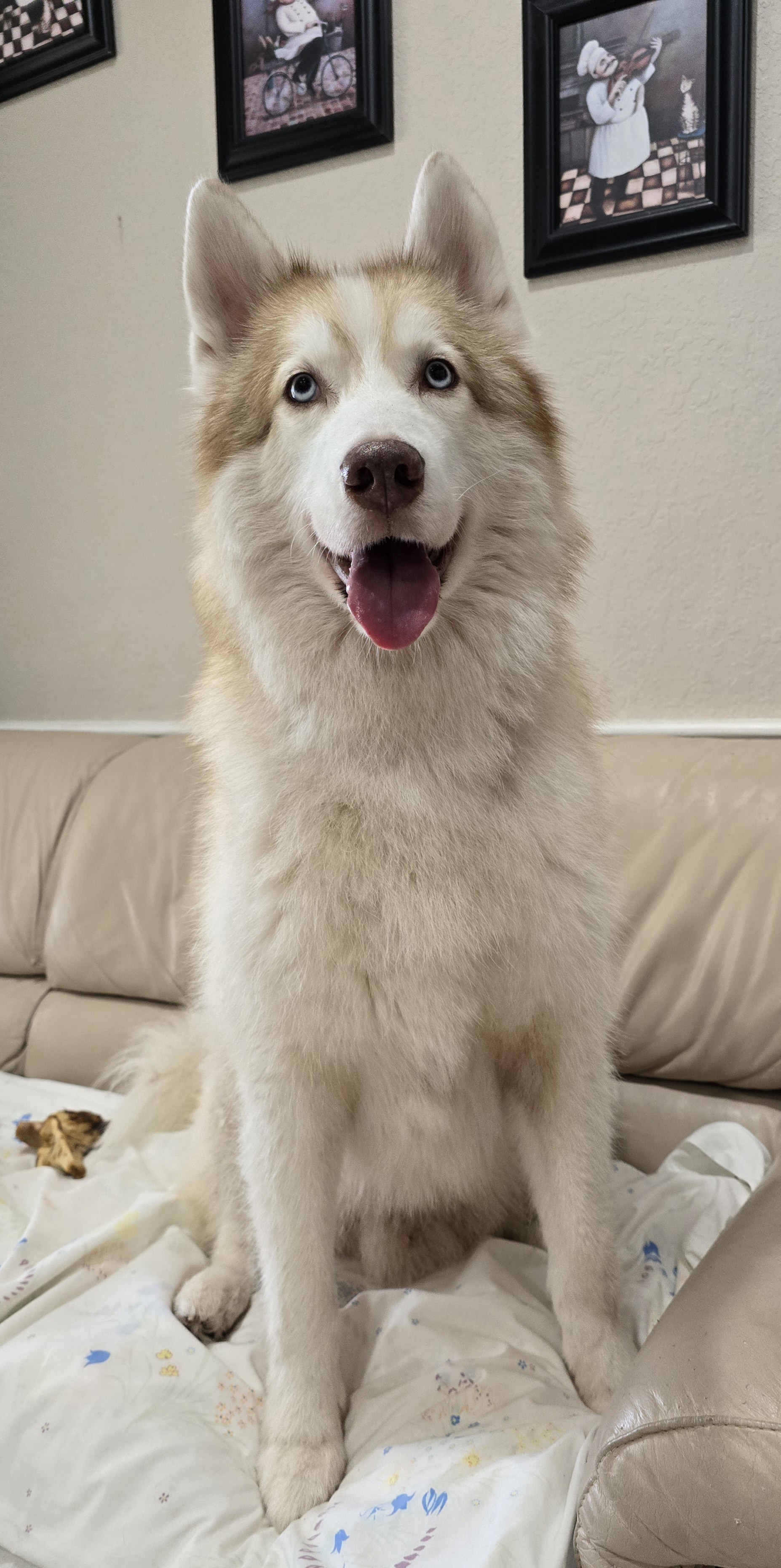 Kion (321 805 1266)
