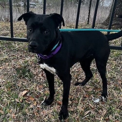 Nina — thumbnail 2