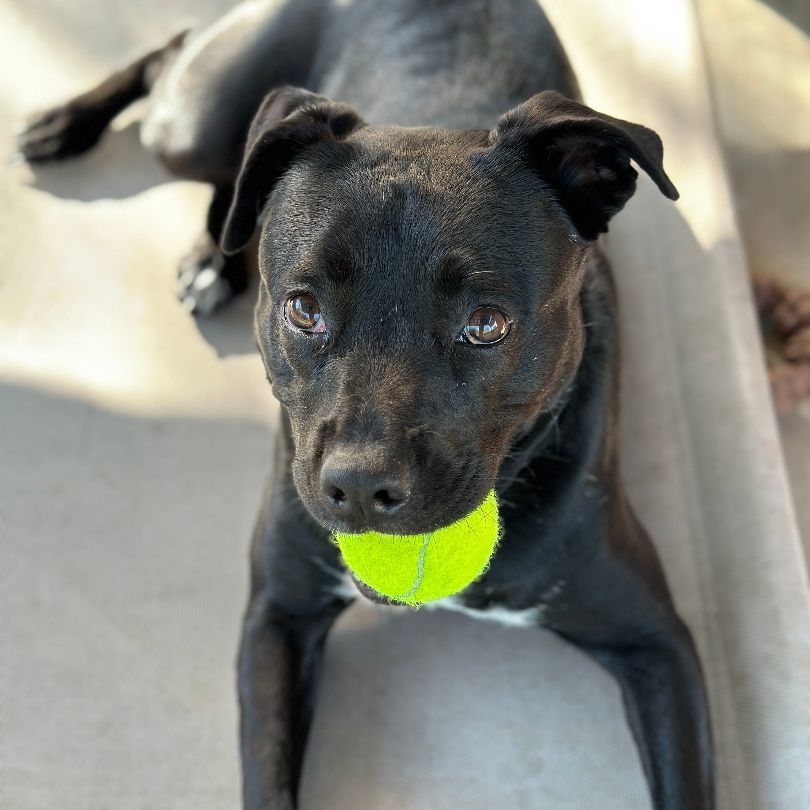 Nina — thumbnail 3