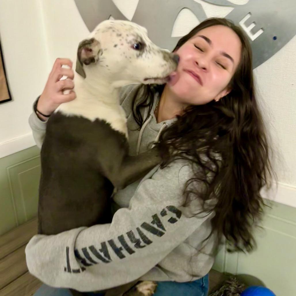 Enlarge Vesta, a Adoptable mixed breed in Metamora, MI image 2/6