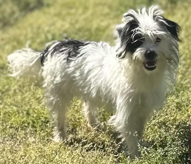 Winnie