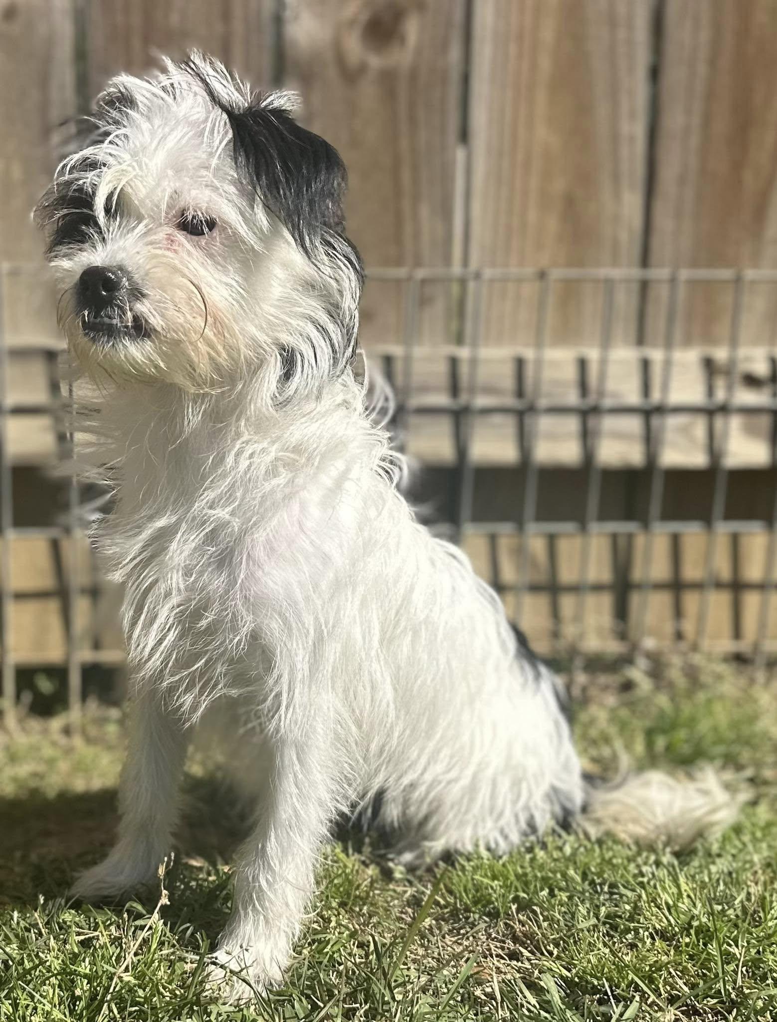Winnie
