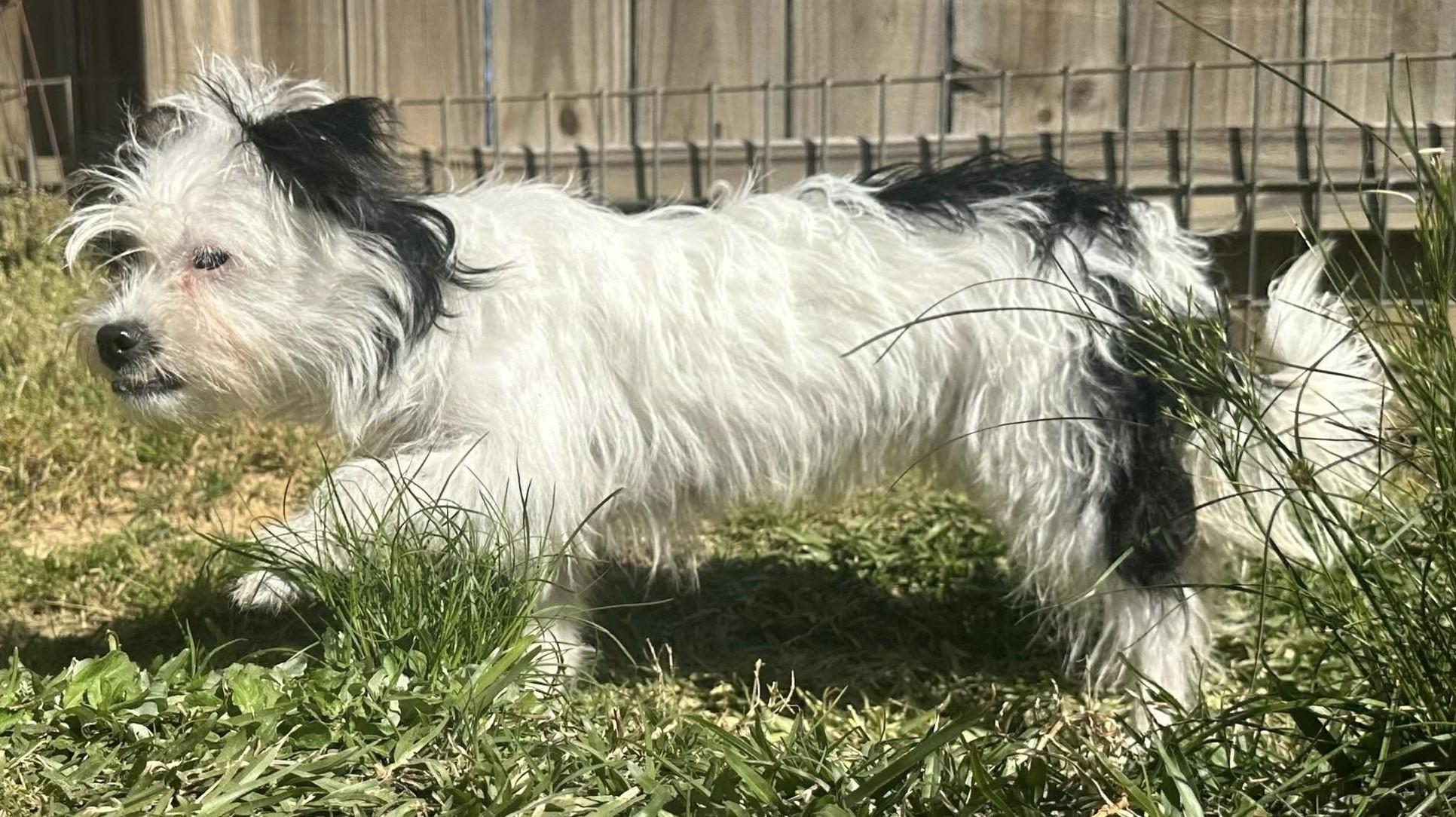 Winnie