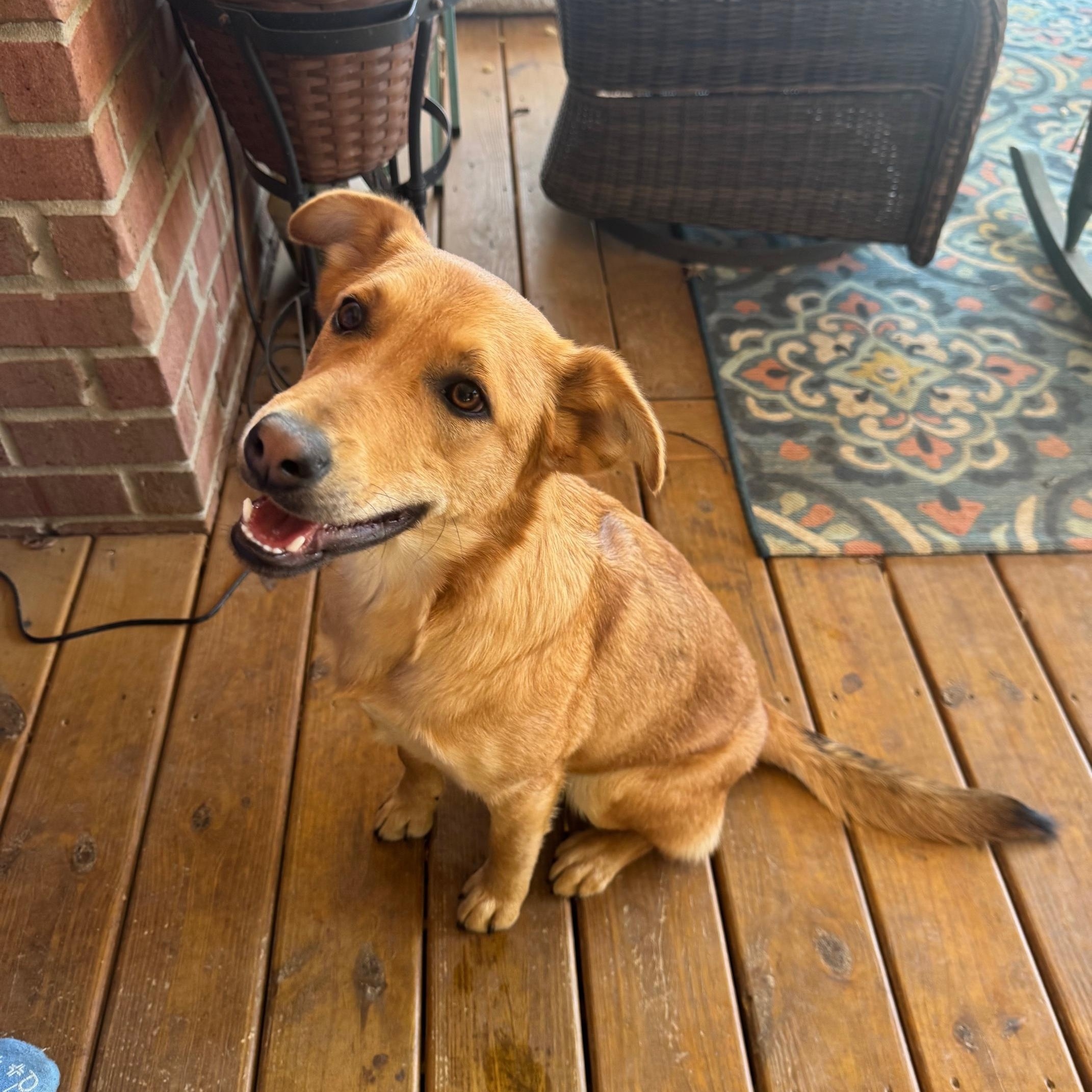 Copper (formerly Pax)