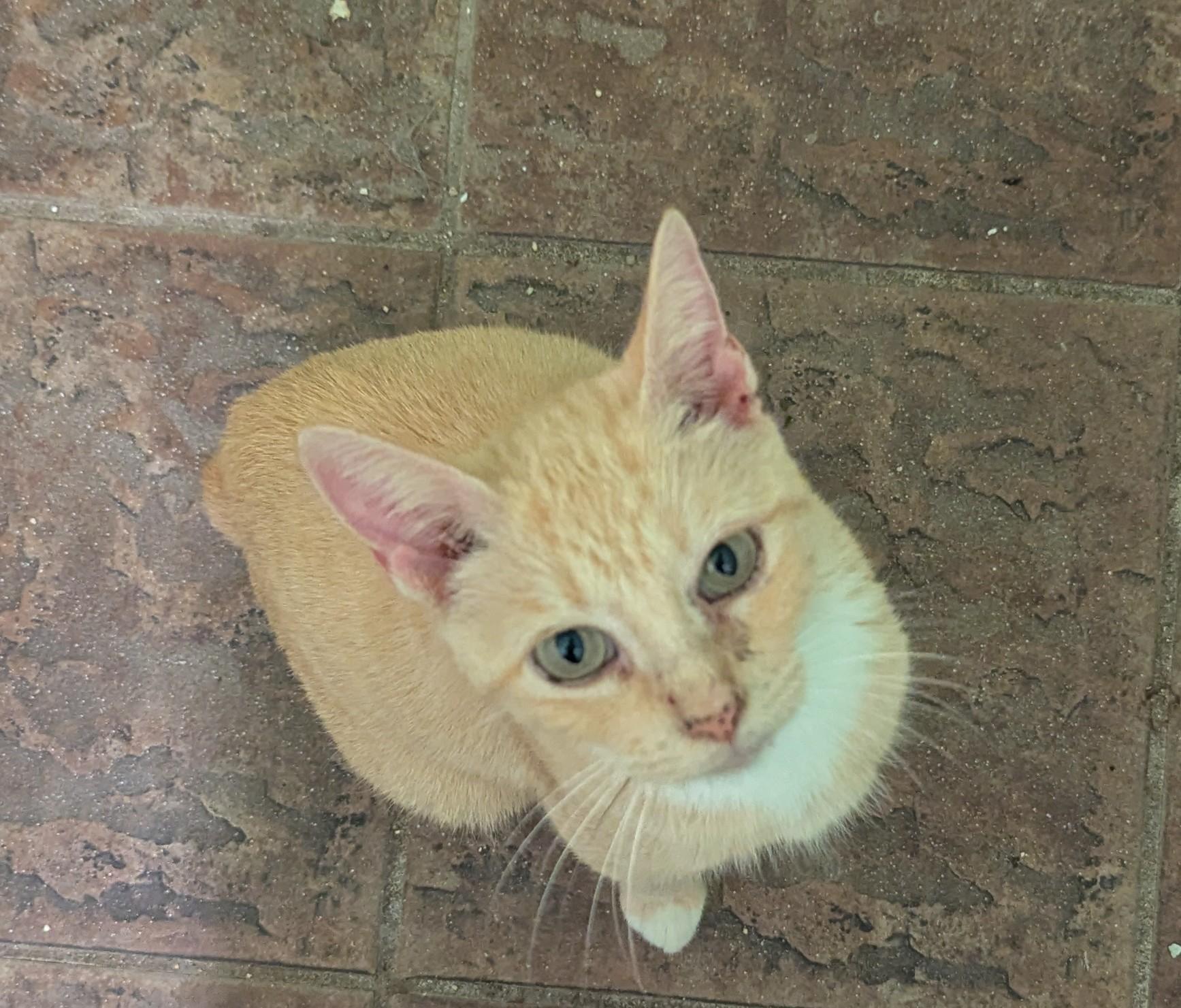 Sunshine  Has A thumbnail 2