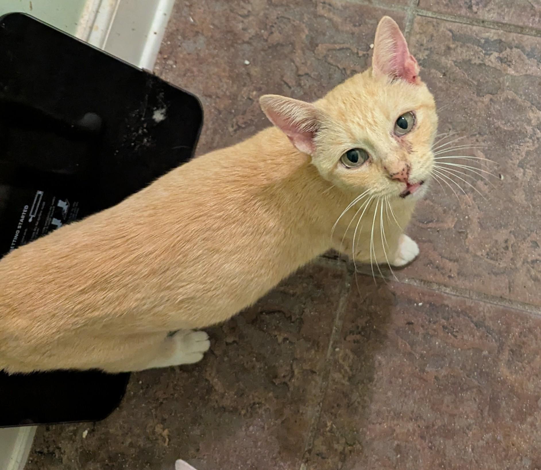 Sunshine  Has A thumbnail 4