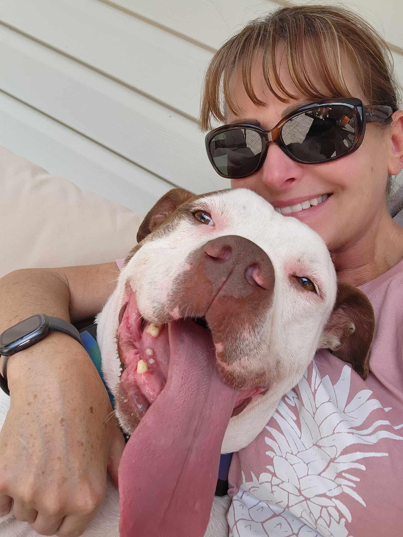 Ghost, a Adoptable mixed breed in Baltimore, MD image 3/3