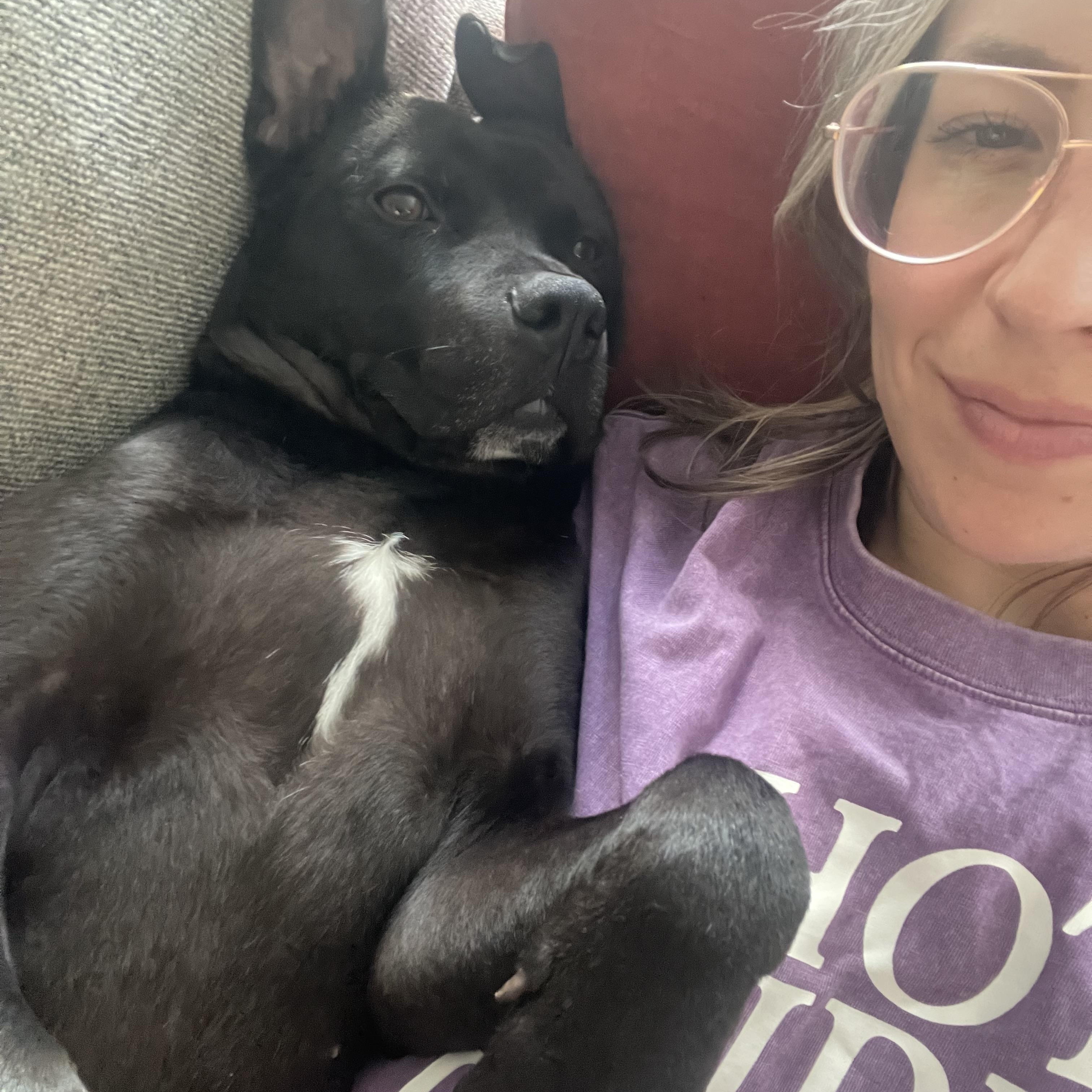 George, a Adoptable Pit Bull Terrier in Chicago, IL image 2/6