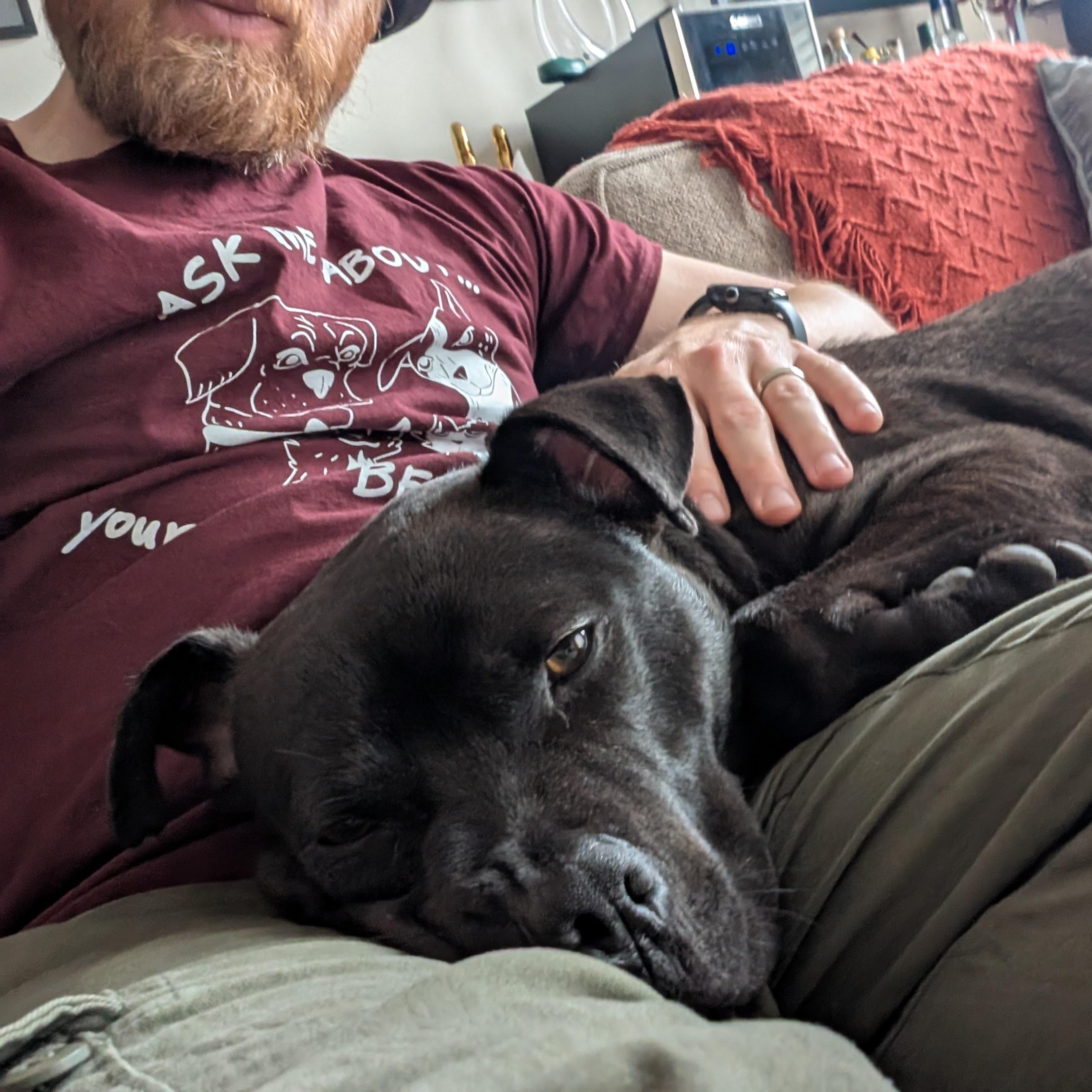 George, a Adoptable Pit Bull Terrier in Chicago, IL image 3/6