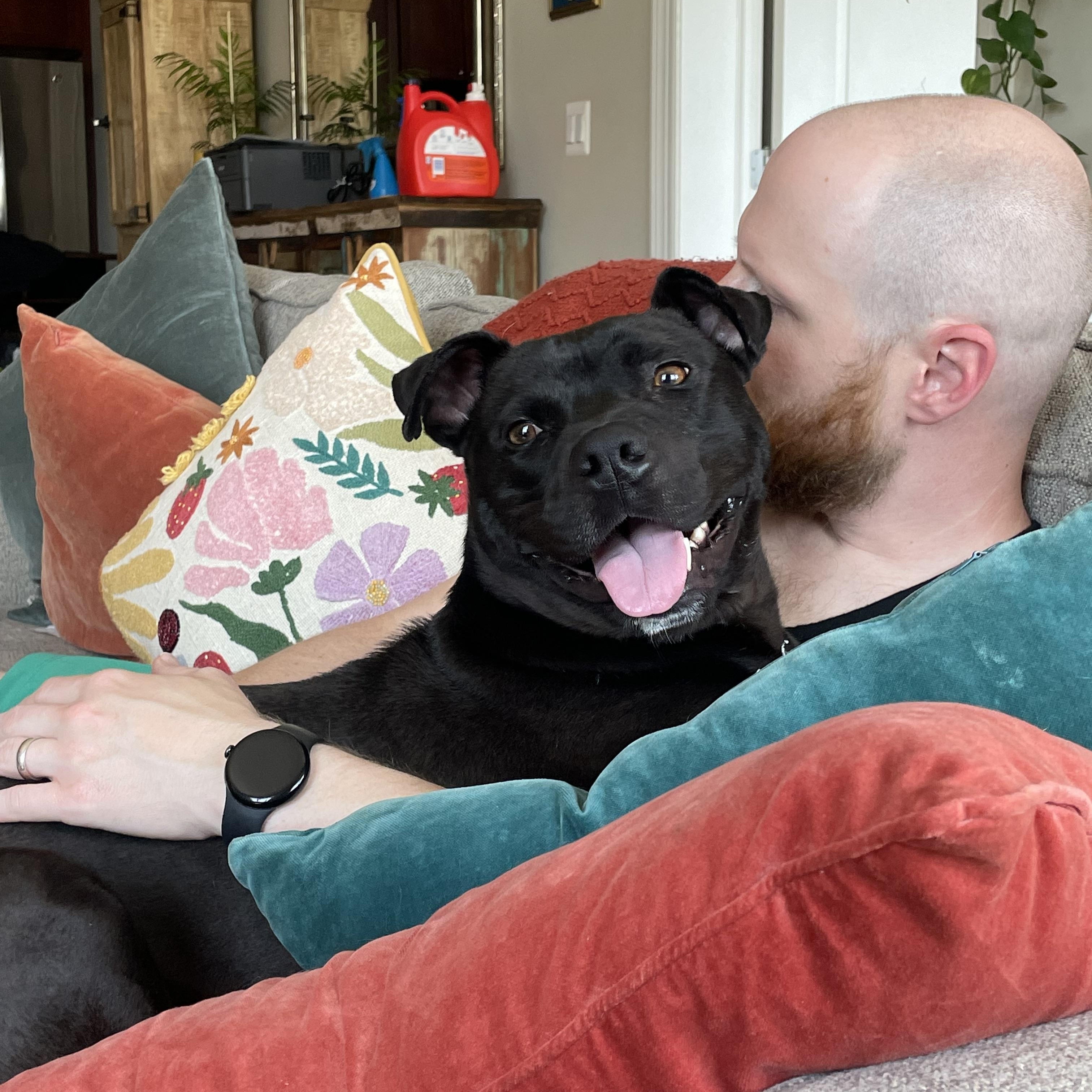 George, a Adoptable Pit Bull Terrier in Chicago, IL image 5/6