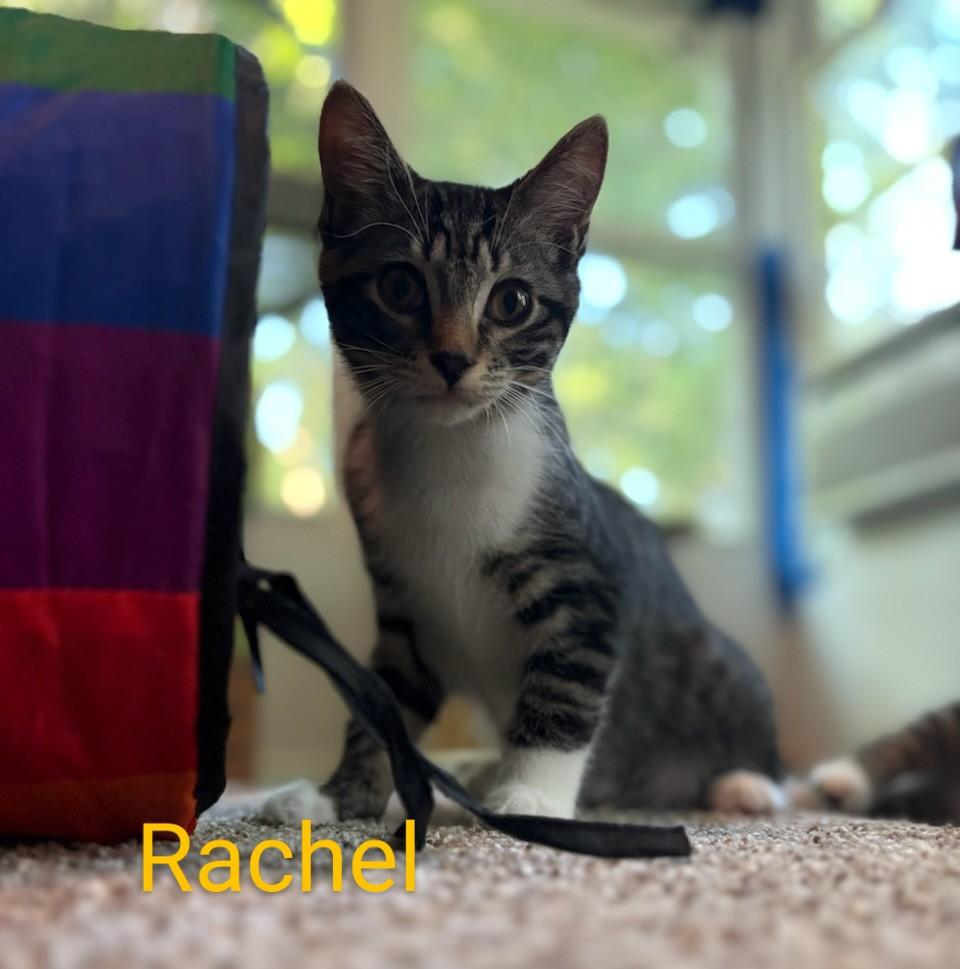 Rachel photo 2