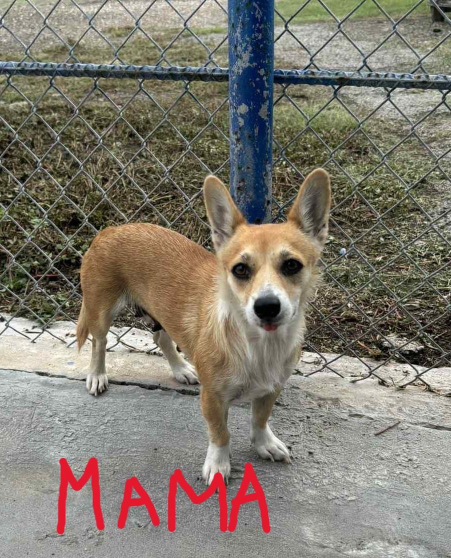 Maxwell, Monty, Murphy!! photo 4