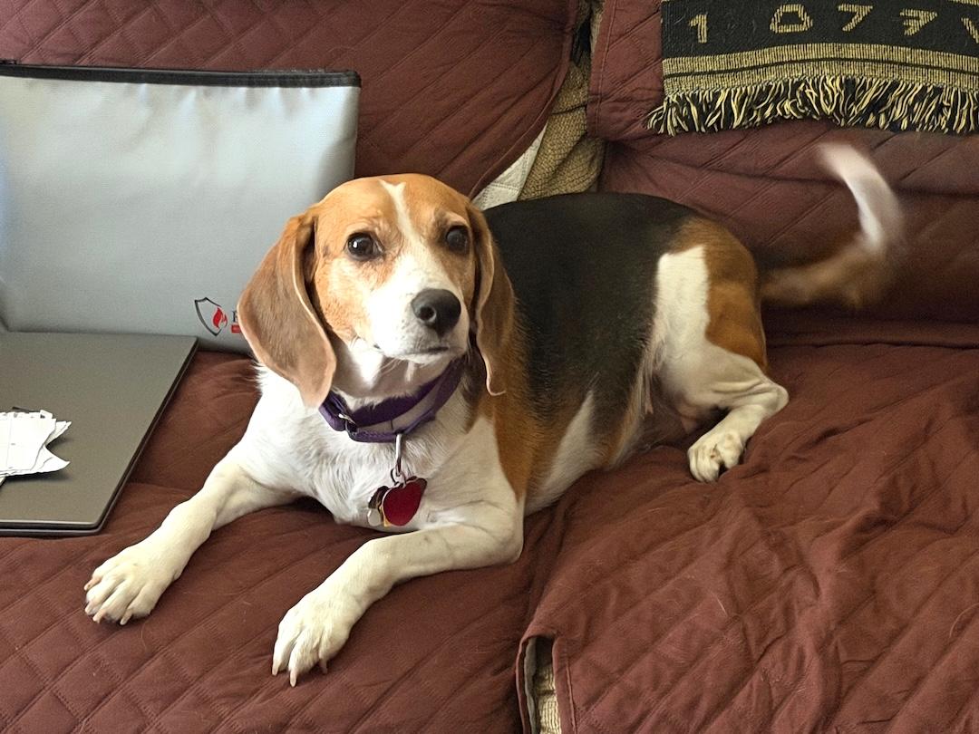 Lily2 — thumbnail 3