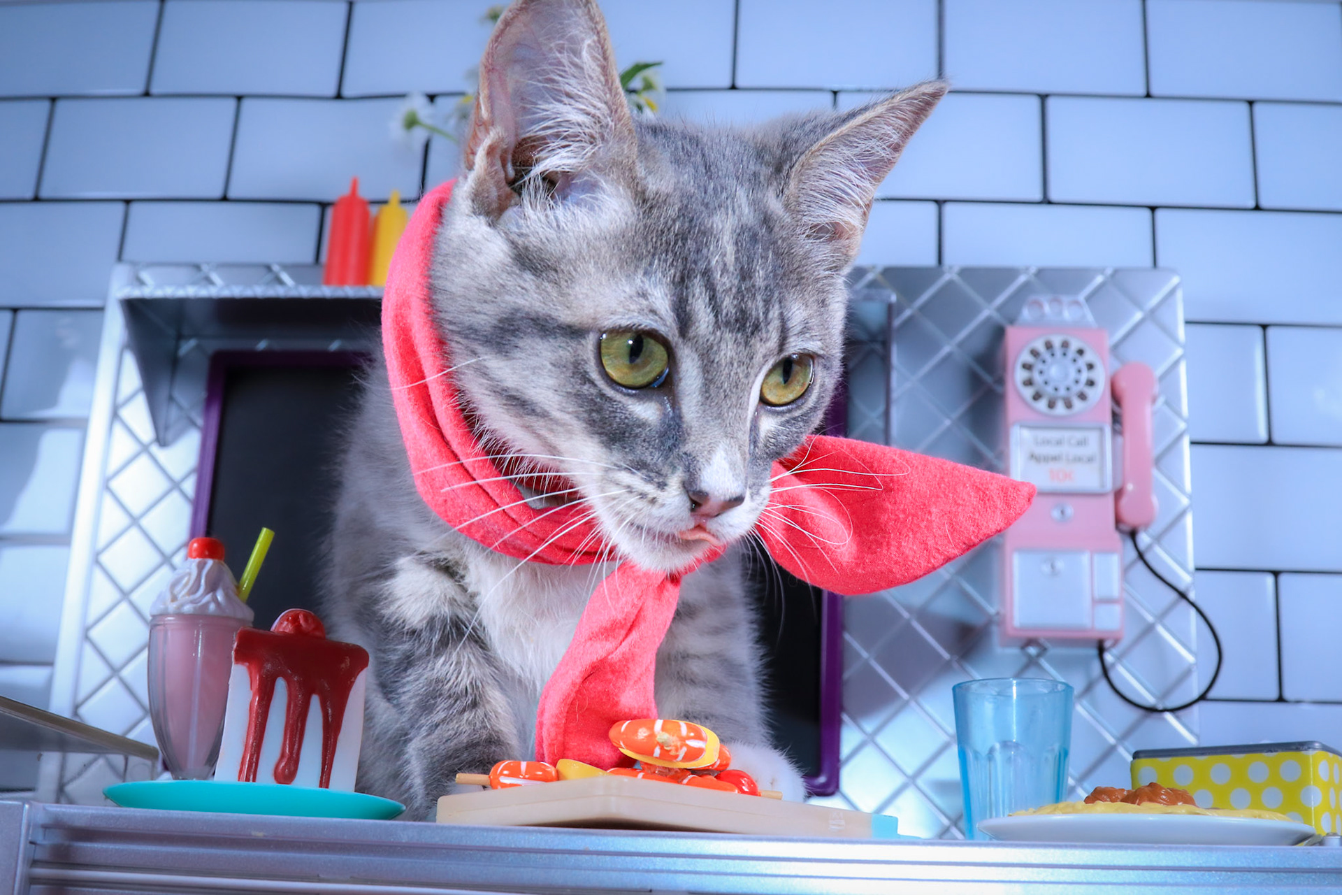 Enlarge Faith, a Adoptable mixed breed in Parker, TX image 3/4