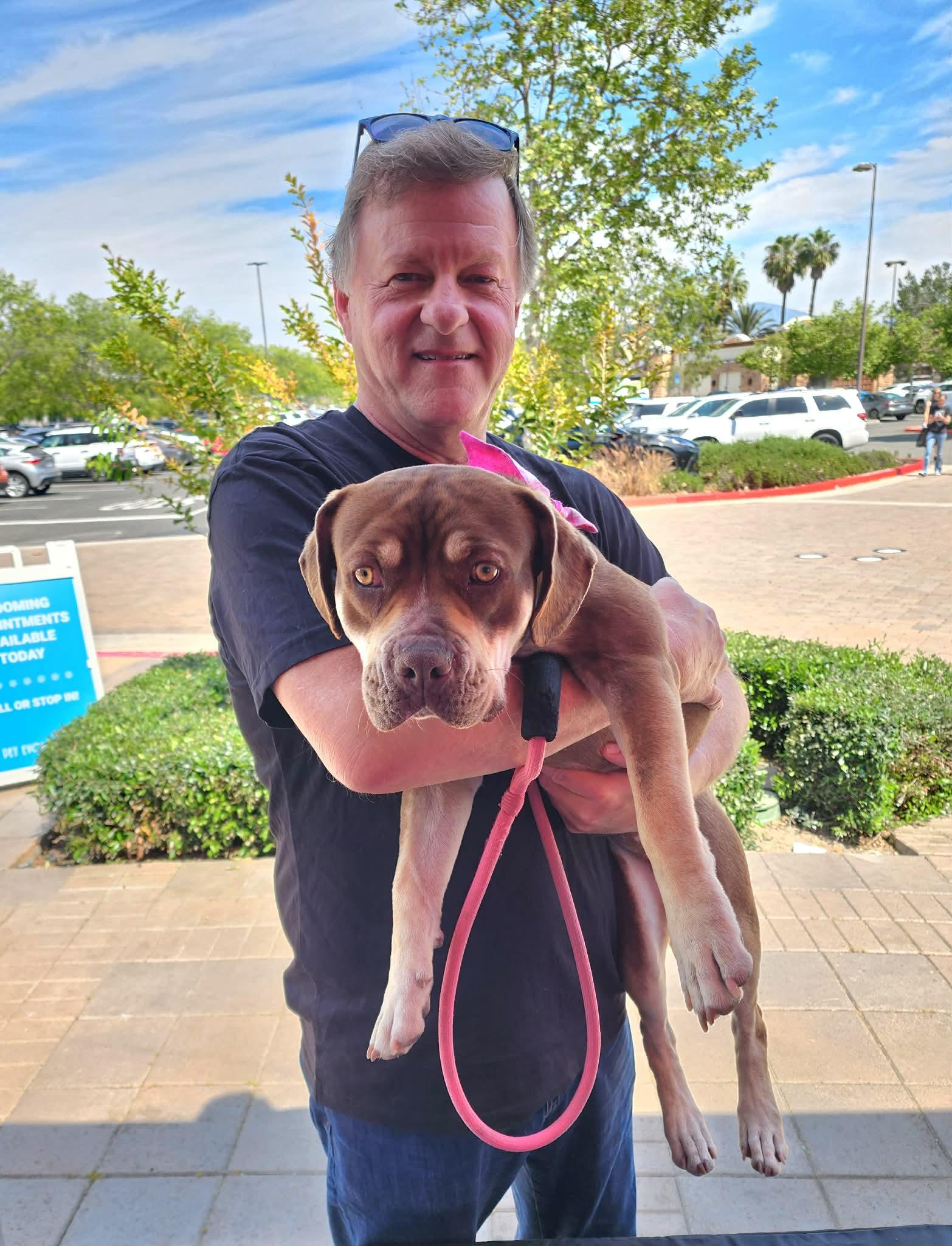 Enlarge Luna, an adopted mixed breed in Corona Del Mar, CA image 4/5