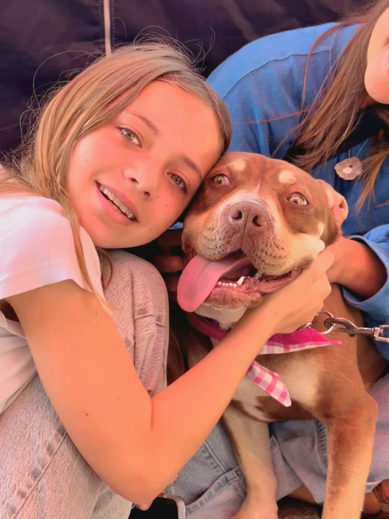 Enlarge Luna, an adopted mixed breed in Corona Del Mar, CA image 3/5