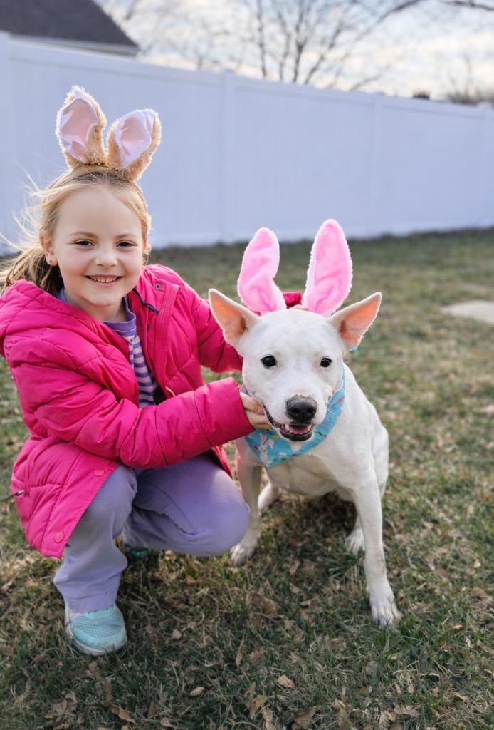 Enlarge Wanda - LOCAL, a Adoptable mixed breed in Princeton, MA image 3/6